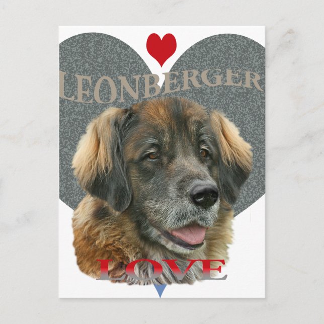 Leonberger Love Gift Ideas Postcard (Front)