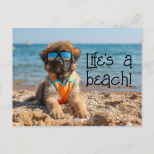 Leonberger Puppy wearing sunglasses postcard