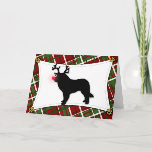Leonberger Reindeer Christmas Card