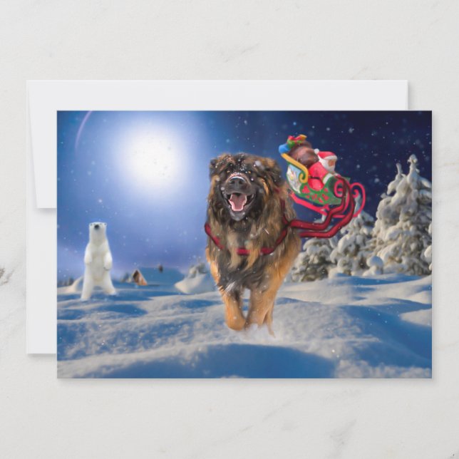 Leonberger Saves Christmas Flat Holiday Card (Front)