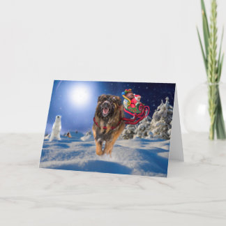 Leonberger saves Santa! Folded Holiday Card