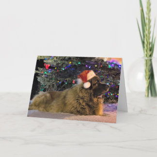 Leonberger Sparkly Christmas Card
