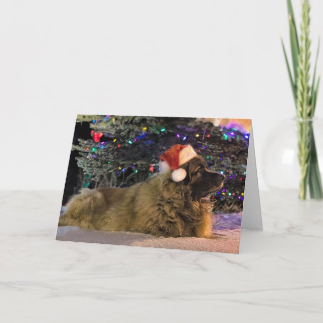 Leonberger Sparkly Christmas Card (Front)