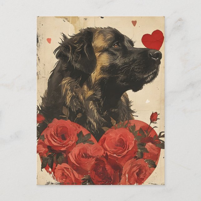 Leonberger Vintage Valentine's day  Postcard (Front)