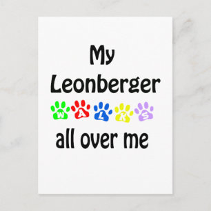 Leonberger Walks Design Postcard