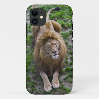 Leonine iPhone 5 Case-Mate Case