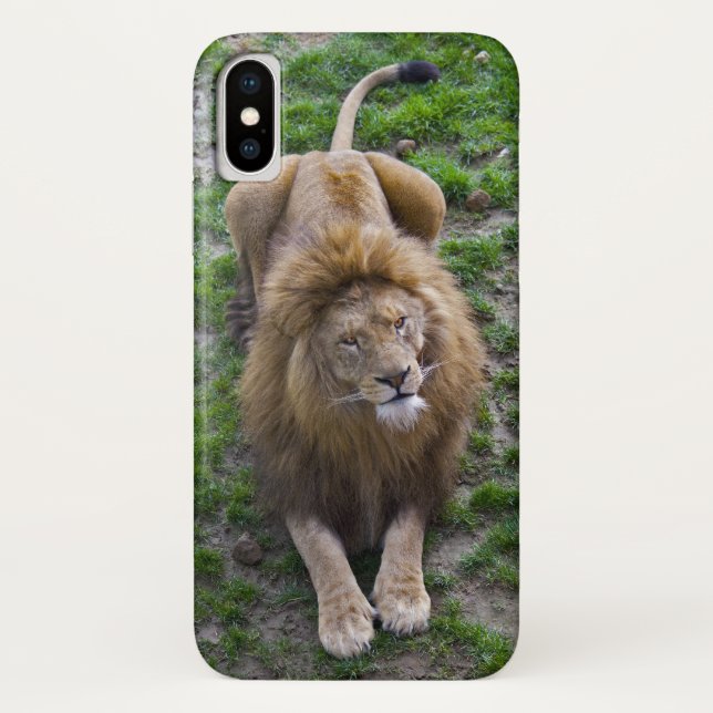 Leonine iPhone X Case (Back)