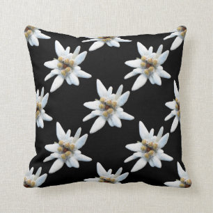 Leontopodium edelweiss cushion