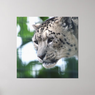 Leopard 003 canvas print