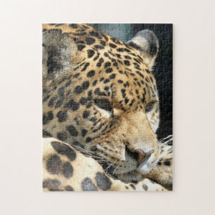 Leopard 004 jigsaw puzzle