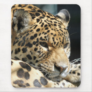 Leopard 004 mouse mat
