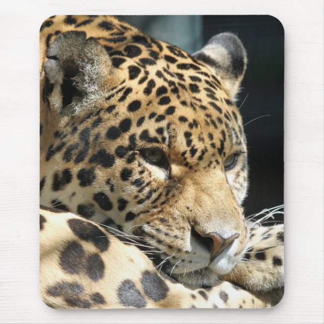 Leopard 004 mouse mat (Front)