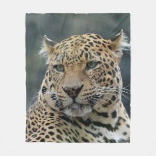 Leopard 006 fleece blanket