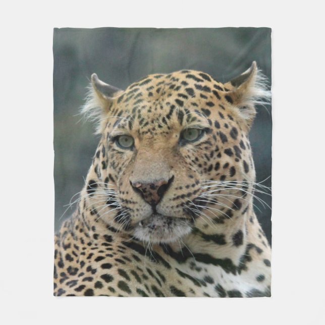 Leopard 006 fleece blanket (Front)