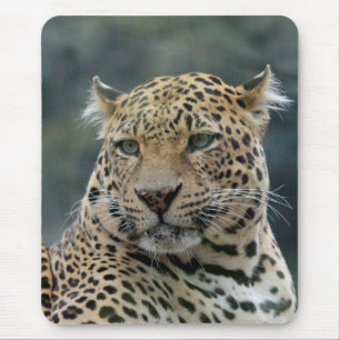 Leopard 006 mouse mat