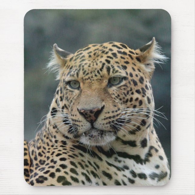 Leopard 006 mouse mat (Front)