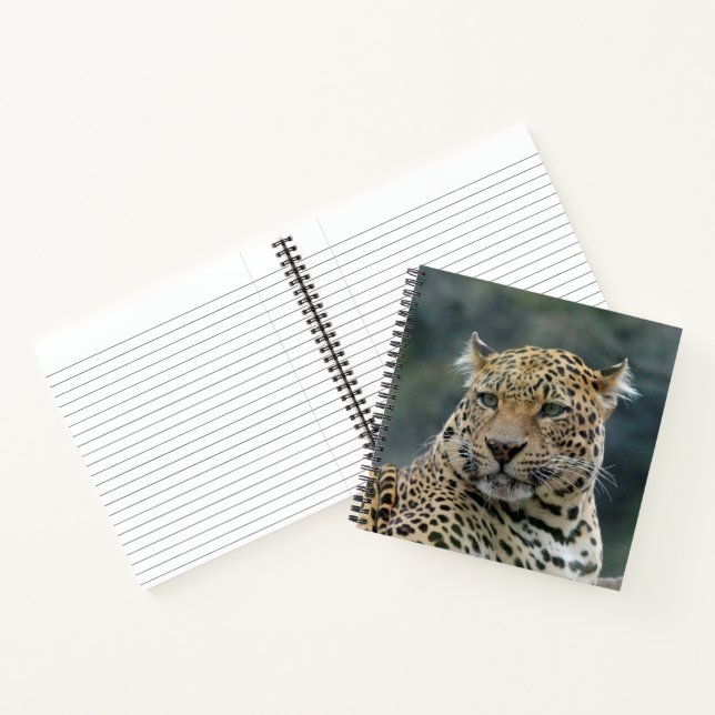 Leopard 006 notebook (Inside)