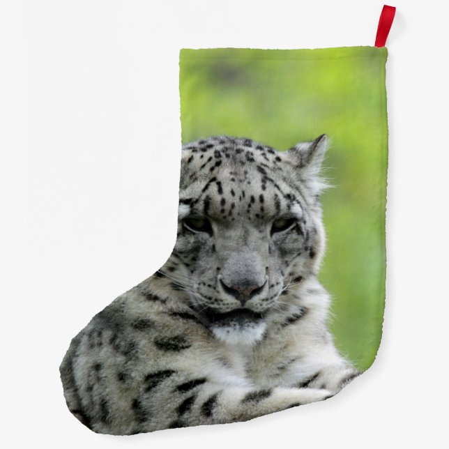 Leopard_2015_0310 Large Christmas Stocking (Back)