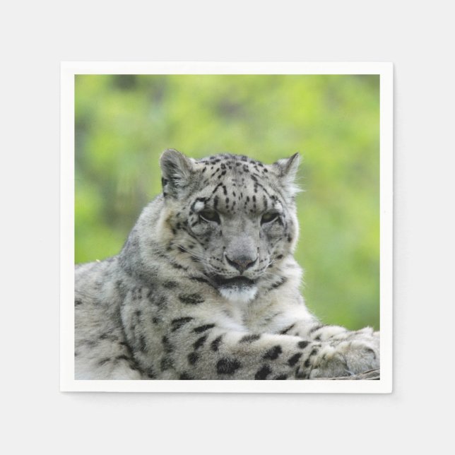 Leopard_2015_0310 Napkin (Front)