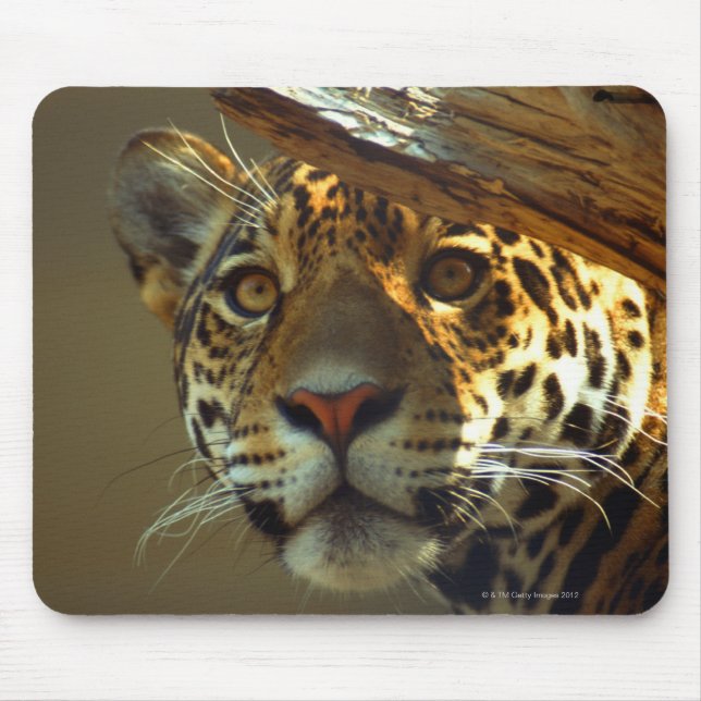 leopard 2 mouse mat (Front)