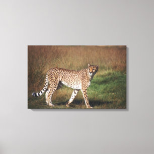 leopard 3 canvas print