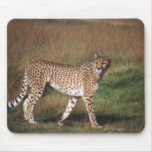 leopard 3 mouse mat