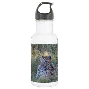LEOPARD 532 ML WATER BOTTLE