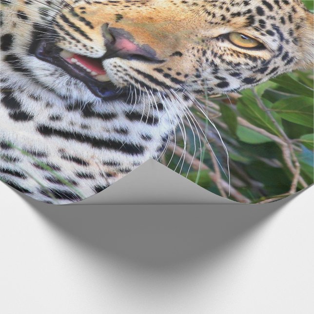 Leopard 6 Wrapping Paper (Corner)