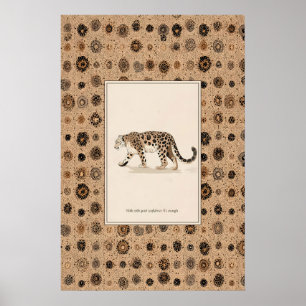 Leopard Animal Illustration Poster Spotted Wild