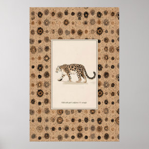 Leopard Animal Illustration Poster Spotted Wild