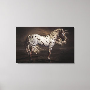 Leopard Appaloosa Stretched Canvas Print