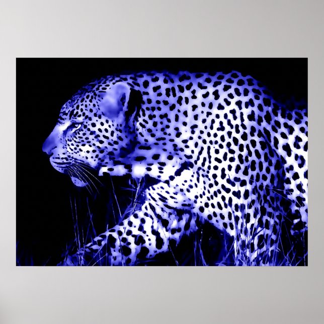 Leopard at Blue Night Poster Pop Art Wild Animals (Front)