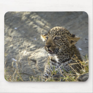 Leopard Baby Mouse Mat