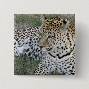 Leopard badge