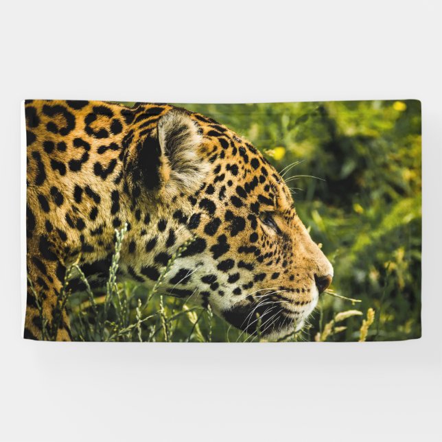 LEOPARD Banner (Horizontal)