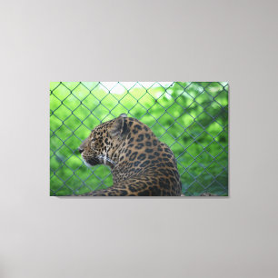 Leopard Canvas Print