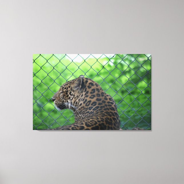 Leopard Canvas Print (Front)