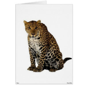 Leopard Card