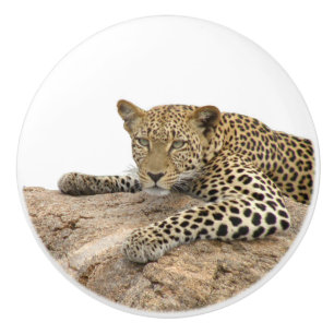 Leopard Ceramic Knob, right (Pull for Cabinet) Knob