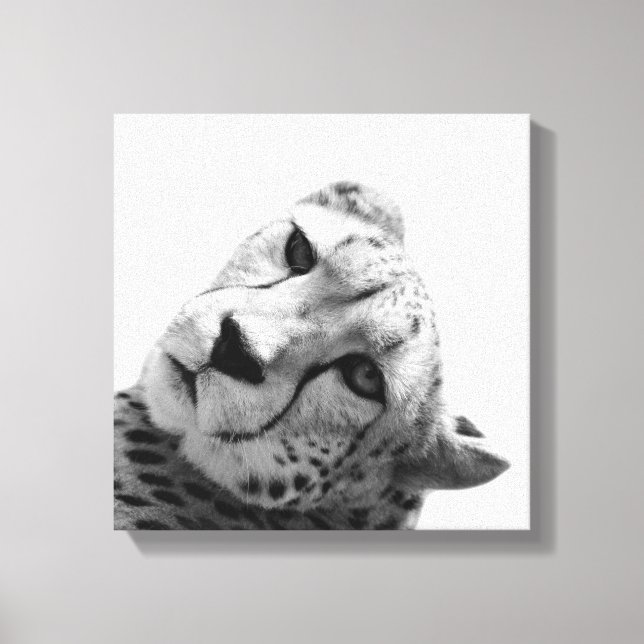 Leopard cheetah wild animal photo black and white canvas print (Front)