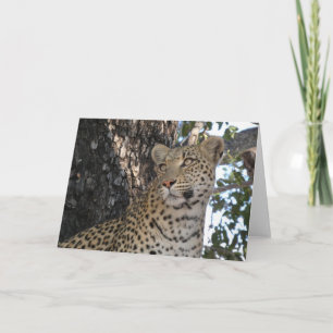 LEOPARD CLOSE-UP CARD