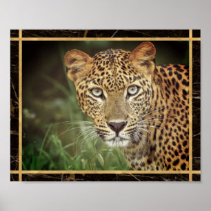 Leopard Closeup Face Photo Image Print Poster