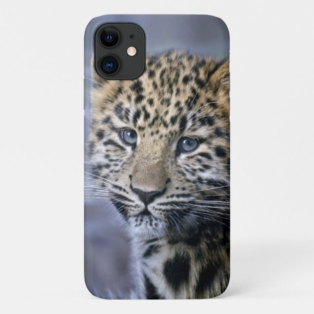 Leopard Cub iPhone 11 Case (Back)