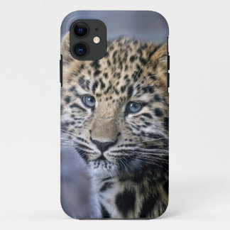 Leopard Cub iPhone 5 Case-Mate Case