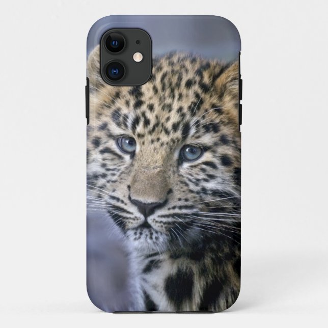 Leopard Cub iPhone 5 Case-Mate Case (Back)