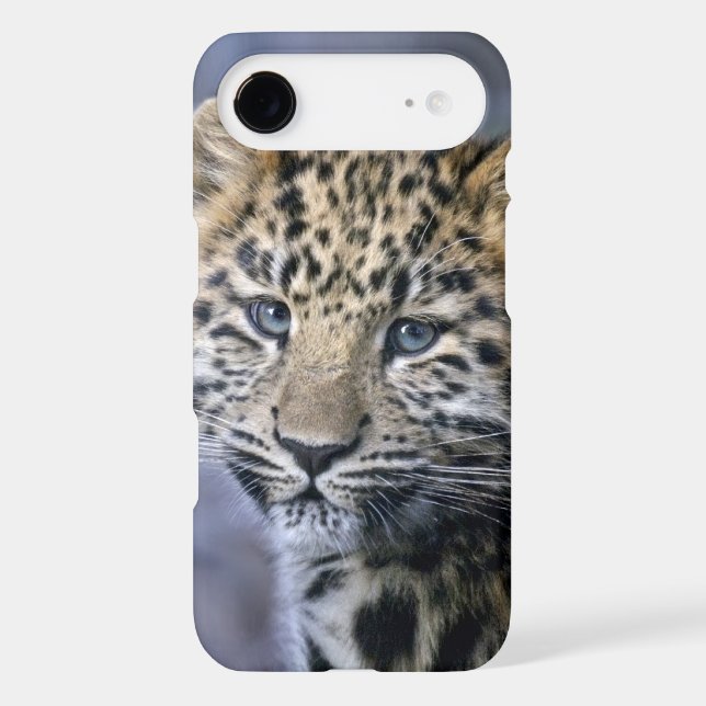 Leopard Cub iPhone 7 Case (Back)