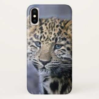 Leopard Cub iPhone X Case