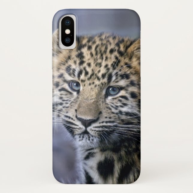 Leopard Cub iPhone X Case (Back)