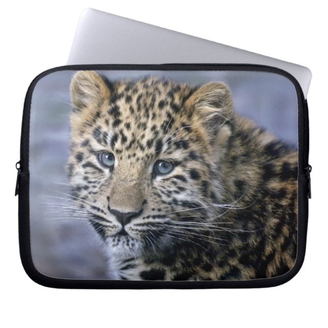 Leopard Cub Laptop Sleeve (Front)