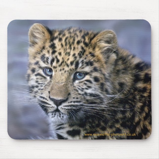 Leopard Cub Mousemat (Front)